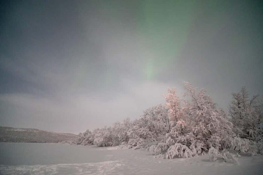 LEVI Adults Only Northern Lights Hunt with Snowshoeing - Booking details that matter