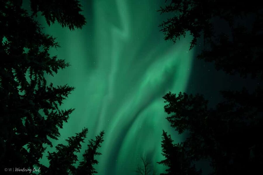 LEVI Adults Only Northern Lights Hunt with Snowshoeing - Snowshoeing through the Finnish forest