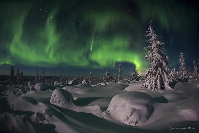 Levi: Aurora Borealis Tour and Stargazing Experience - What $131.25 Buys You