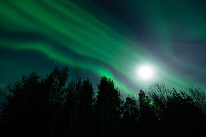 Levi: Aurora Borealis Tour and Stargazing Experience - Who Will Enjoy This Levi Aurora Tour
