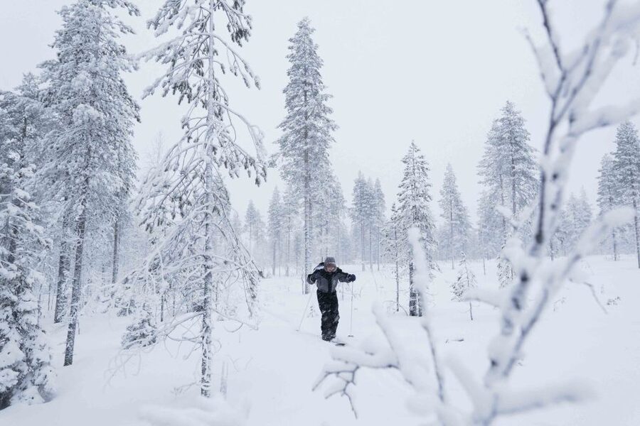Levi: Backcountry Skiing Adventure - Is $115 a fair price?