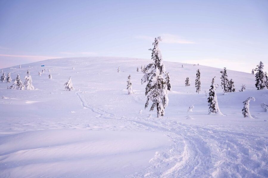 Levi: Backcountry Skiing Adventure - Learning to move on backcountry skis