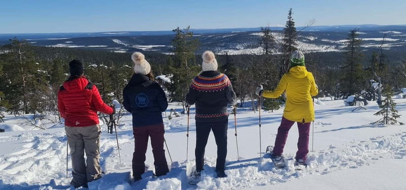 Levi: Evening Snowshoe Walk Under Northern Sky - Key points to know before booking