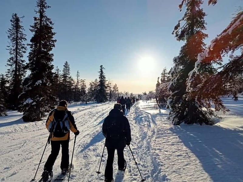 Levi: Evening Snowshoe Walk Under Northern Sky - Northern Lights: a real chance, not a promise