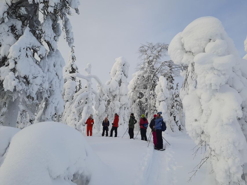 Levi: Evening Snowshoe Walk Under Northern Sky - What the $146 price includes