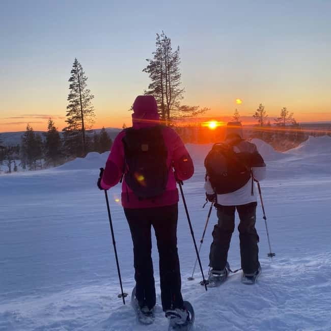 Levi: Evening Snowshoe Walk Under Northern Sky - Practical tips for a warmer, better evening