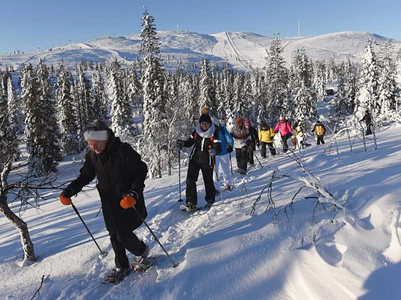 Levi: Evening Snowshoe Walk Under Northern Sky - Should you book the Levi evening snowshoe walk?