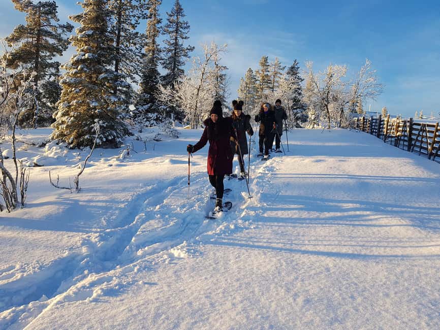 Levi: Gentle Snowshoe Walk in Winter Wilderness - Key points at a glance