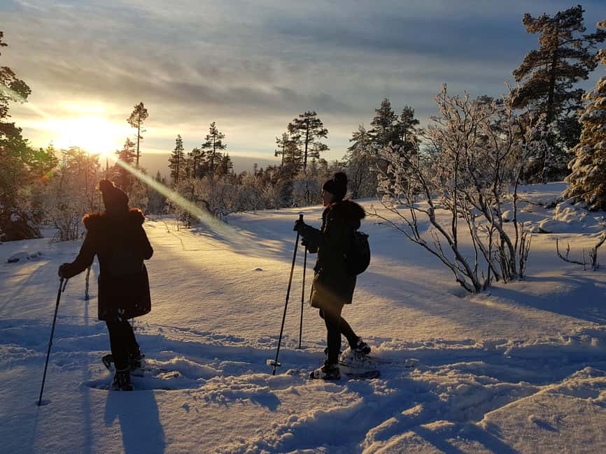 Levi: Gentle Snowshoe Walk in Winter Wilderness - Starting outside Visit Levi Tourist Information