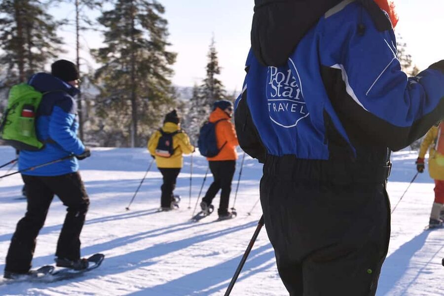 Levi: Gentle Snowshoe Walk in Winter Wilderness - Following the quiet forests below Kätkä Fell