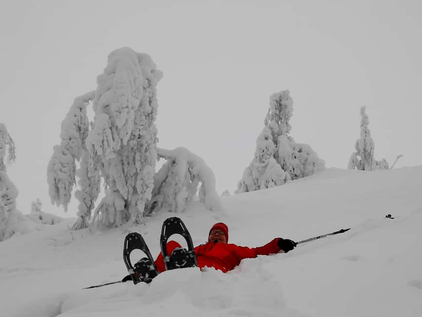 Levi: Gentle Snowshoe Walk in Winter Wilderness - Is $115 a fair price?