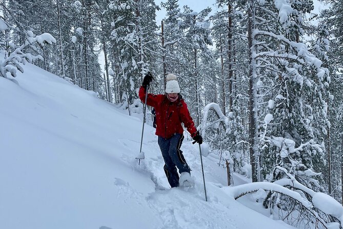 Levi: Lakeside forest snowshoeing - A gentle route with time to stop