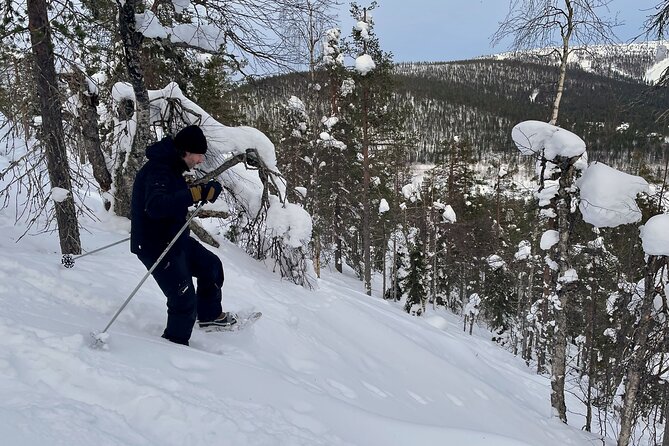 Levi: Lakeside forest snowshoeing - What the guide adds to the experience