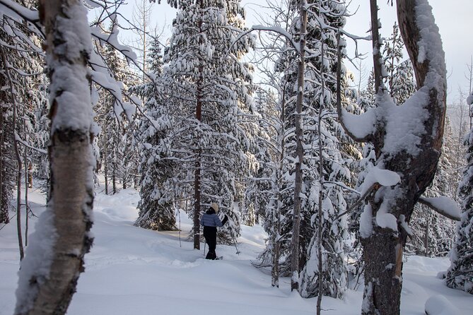Levi: Lakeside forest snowshoeing - Forest Walking Beneath Snow-Covered Trees