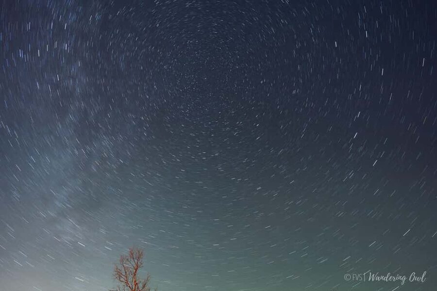 LEVI Night Star Walk on Snowshoes (ALL INCLUDED) - Professional photos without carrying a camera plan