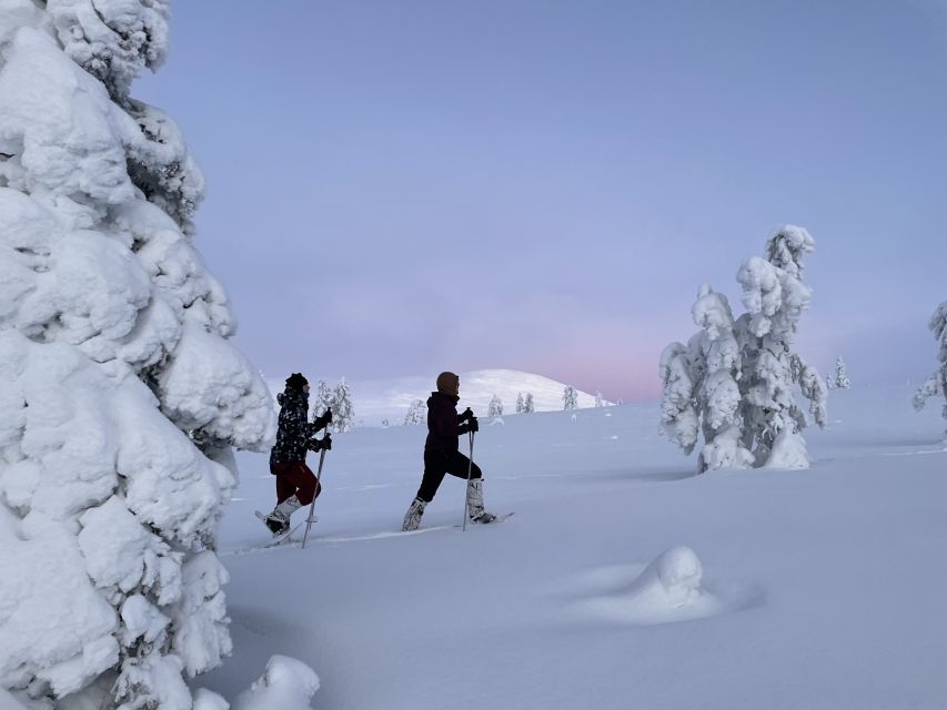 Levi: Pallas-Yllästunturi National Park Snowshoeing Tour - A Warm Hut After the First 1.5 Hours