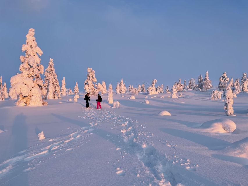 Levi: Pallas-Yllästunturi National Park Snowshoeing Tour - The Second Hour on the Fells