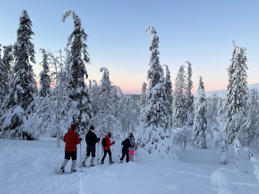 Levi: Pallas-Yllästunturi National Park Snowshoeing Tour - Who Will Enjoy This Most?