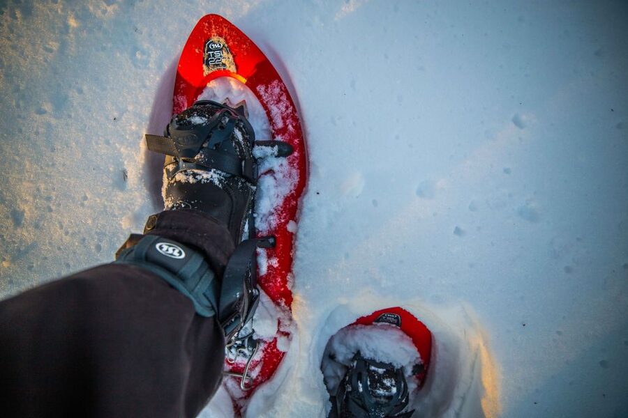 Levi: Snowshoe Adventure in the Wilderness - Key points before you book