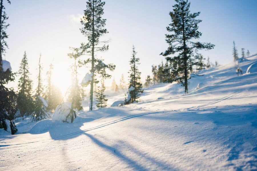Levi: Snowshoe Adventure in the Wilderness - Who will enjoy this most?