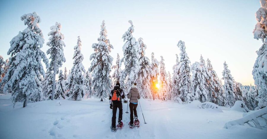 Levi: Snowshoe Adventure in the Wilderness - Photo stops with a working photography guide