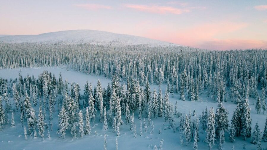 Levi: Snowshoe Adventure in the Wilderness - A small group makes a real difference
