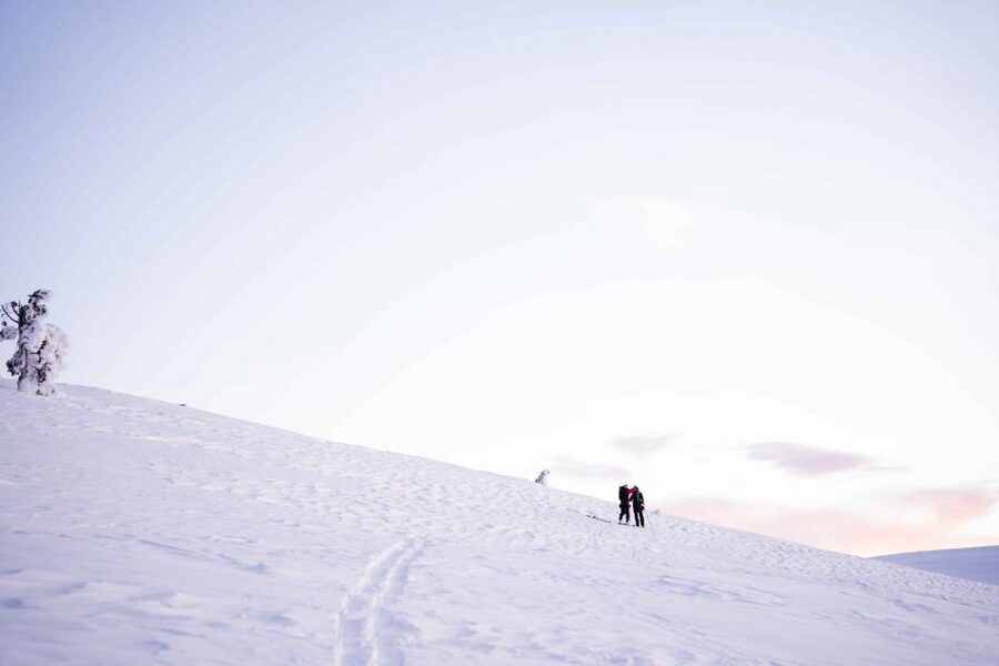 Levi: Snowshoe Adventure in the Wilderness - Timing, pickup, and cancellation details
