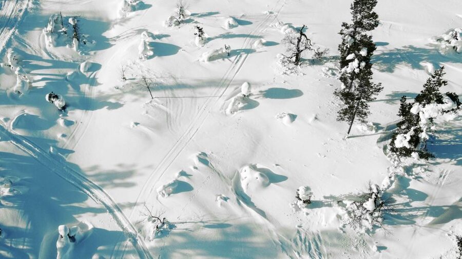 Levi: Snowshoe Adventure in the Wilderness - From Sirkka to the Arctic forest