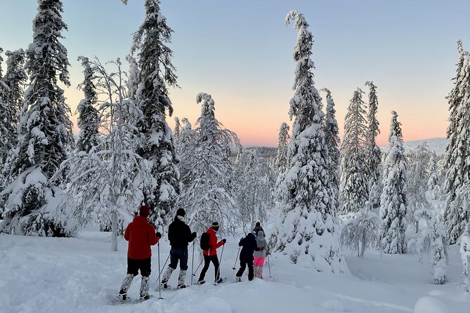 Levi: Snowshoeing adventure in the National Park - Key points to know before you book