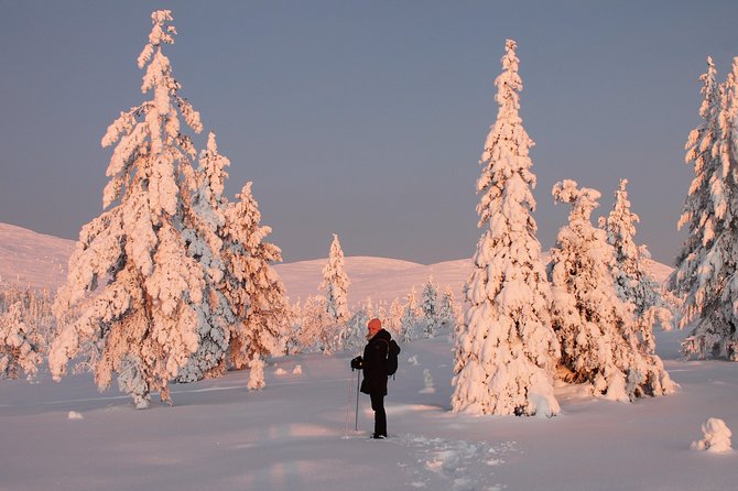 Levi: Snowshoeing adventure in the National Park - Learning to walk on deep snow