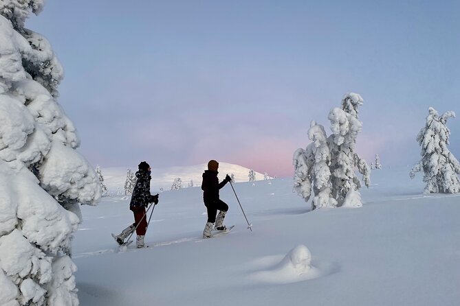 Levi: Snowshoeing adventure in the National Park - Who will enjoy this snowshoeing day most