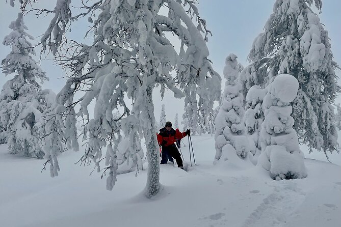 Levi: Snowshoeing adventure in the National Park - Practical details that can make the day easier