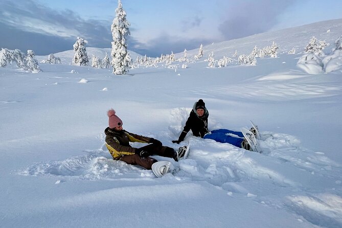 Levi: Snowshoeing adventure in the National Park - Fells, silence, and some of Europe’s cleanest air