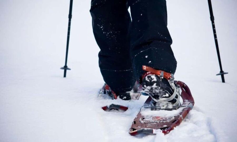 LEVI Winter Snowshoeing in the Wilderness (ALL INCLUDED) - Who should book this snowshoe tour