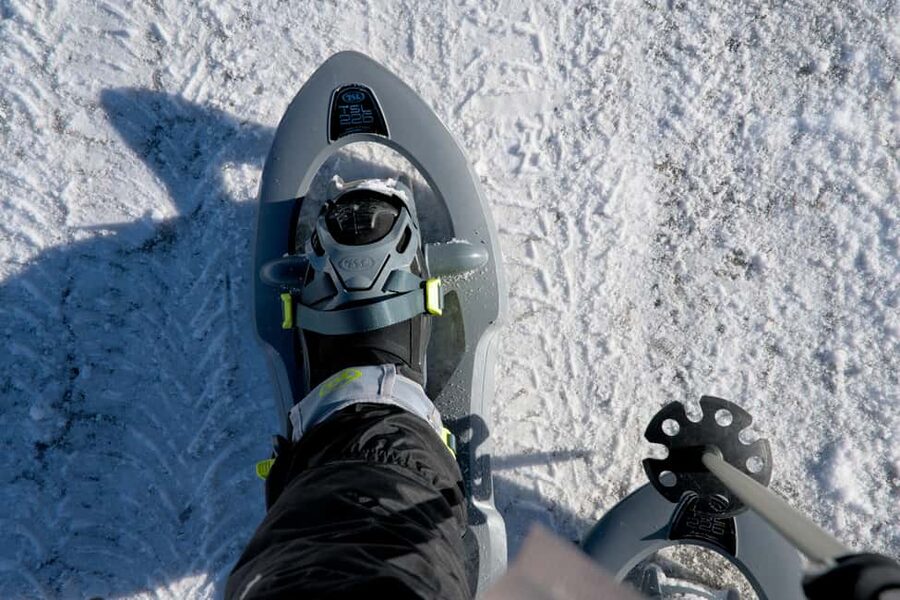 Lofoten: Guided Mountain Snowshoe Adventure - A winter route chosen for the day