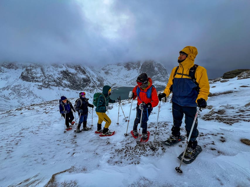 Lofoten: Half Day Snowshoe Tour - Key points to know before you book