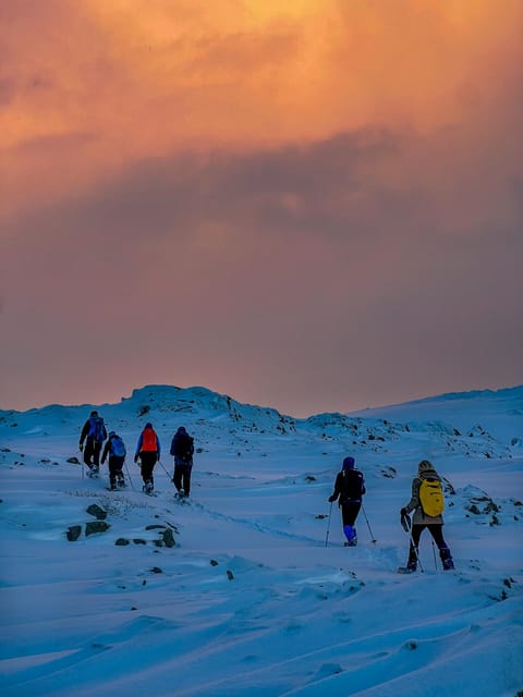 Lofoten: Half Day Snowshoe Tour - A quiet way to see wintertime Lofoten