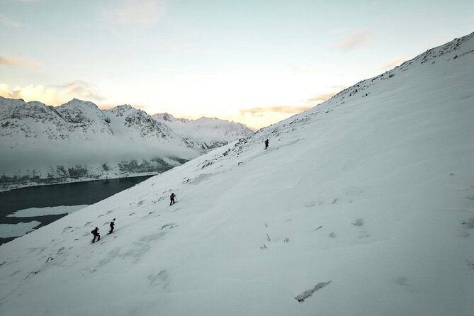 Lofoten Islands: Guided Snowshoeing Tour - Uphill version - Snowshoeing uphill through Lofoten’s winter scenery