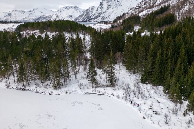 Lofoten Islands: Guided Snowshoeing Tour - Uphill version - Weather, cancellations, and practical planning