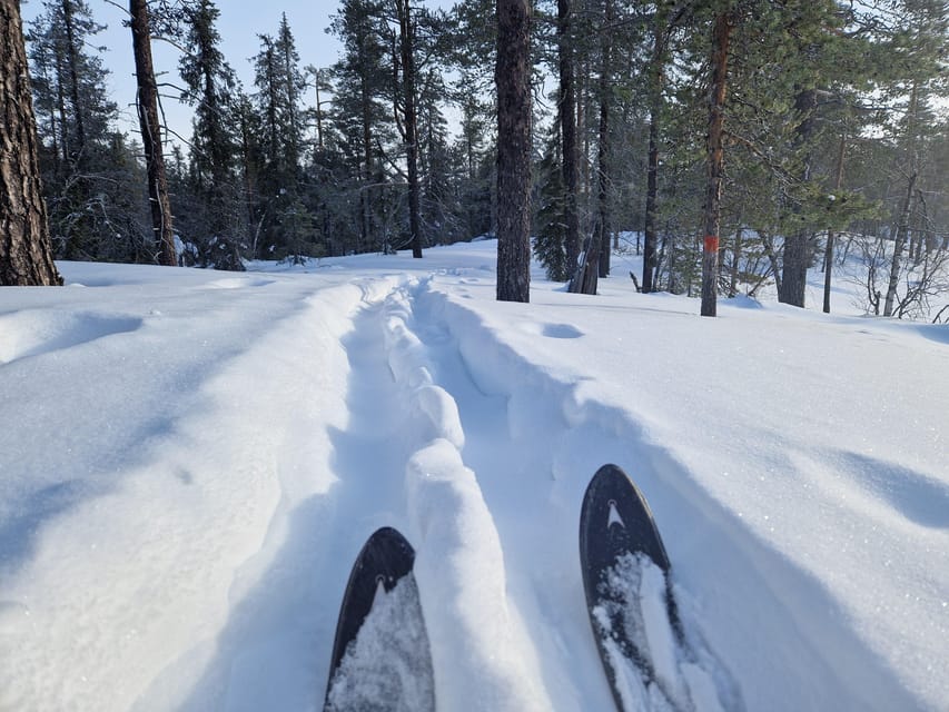 Luleå: Nordic Touring Skiing Adventure - Key points to know before you book
