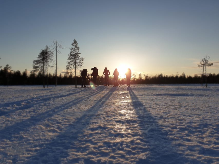 Luleå: Nordic Touring Skiing Adventure - From mainland forest to the frozen Bay of Bothnia