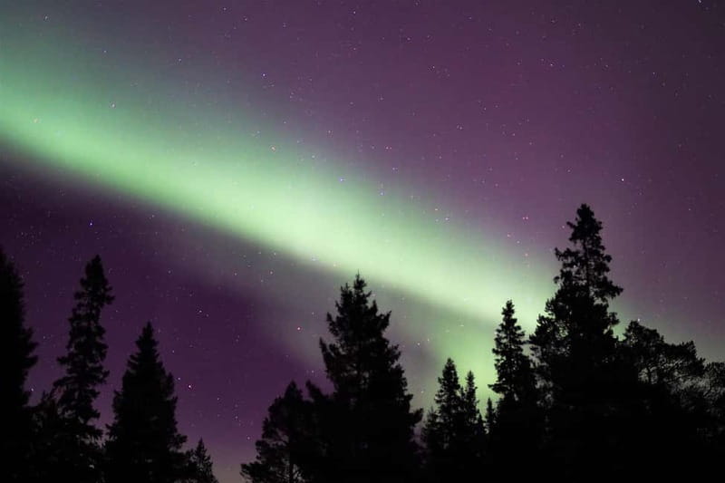 Luleå: Northern Lights Snowshoeing Tour - Key points to know before you book