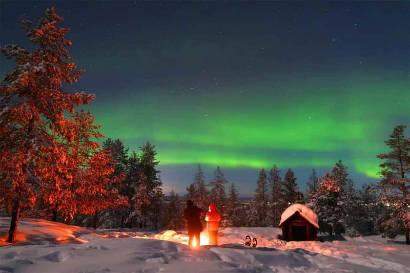 Luleå: Northern Lights Snowshoeing Tour - Walking into Luleå’s winter forest