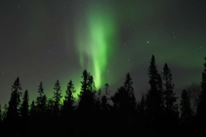 Luleå: Northern Lights Snowshoeing Tour - Reaching a clear place for the Northern Lights