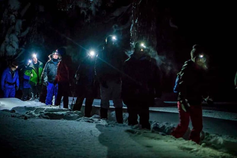 Luleå: Northern Lights Snowshoeing Tour - What the $142 price includes