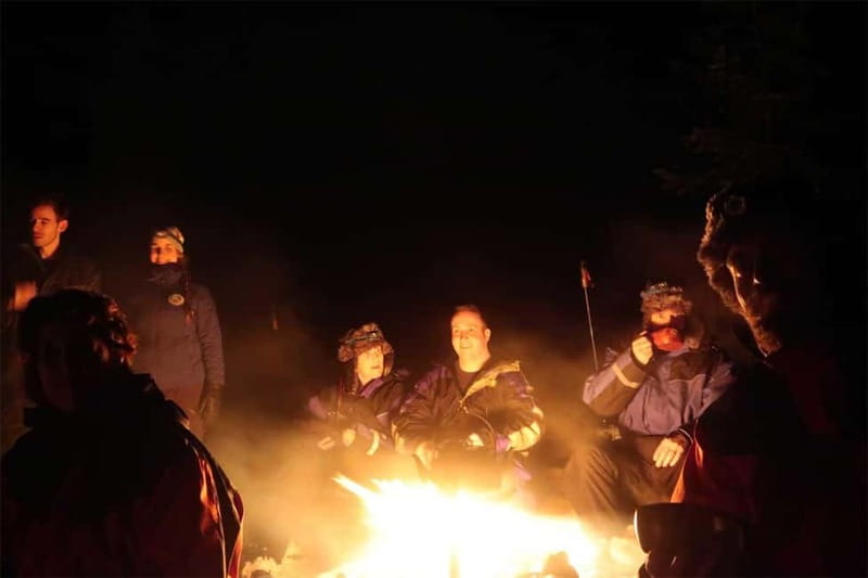 Luleå: Northern Lights Snowshoeing Tour - Clothing and comfort in the cold