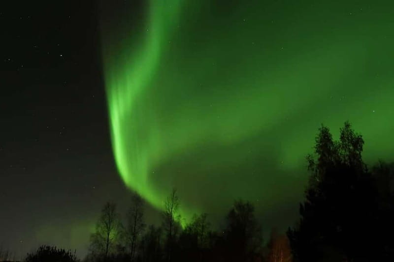 Luleå: Northern Lights Snowshoeing Tour - Why the small group makes a difference