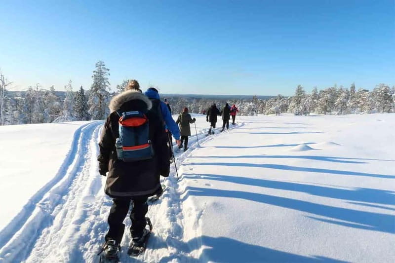 Luleå: snowshoeing in pristine nature with an expert guide! - A quiet start outside Luleå