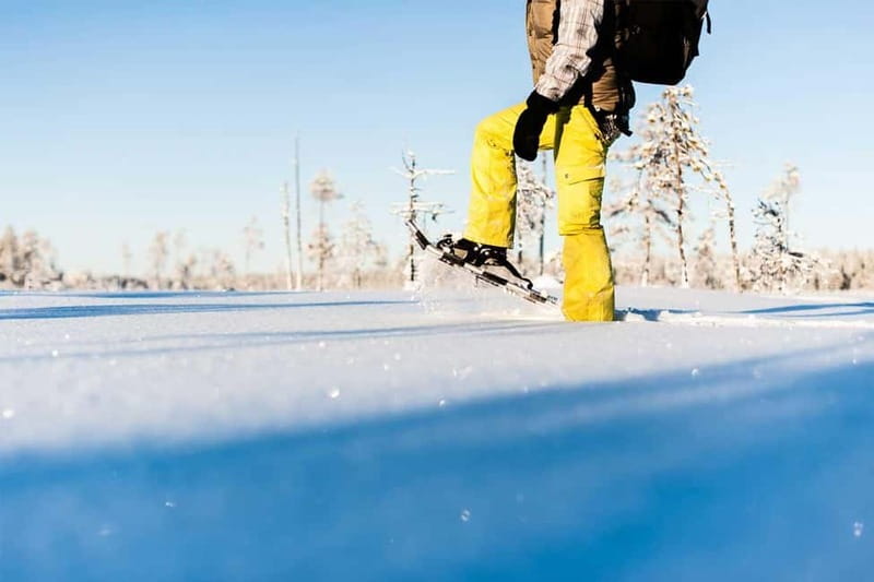 Luleå: snowshoeing in pristine nature with an expert guide! - Reading tracks in the snow