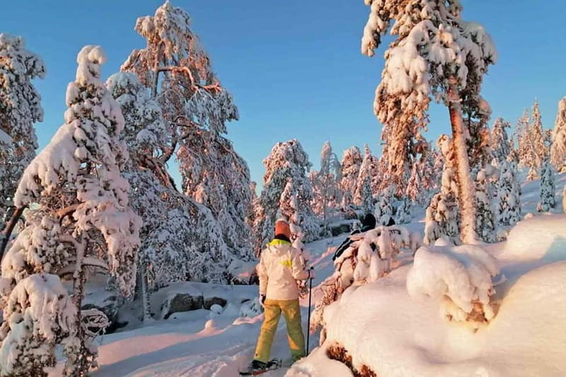 Luleå: snowshoeing in pristine nature with an expert guide! - Coffee, cakes, and a fire in the woods